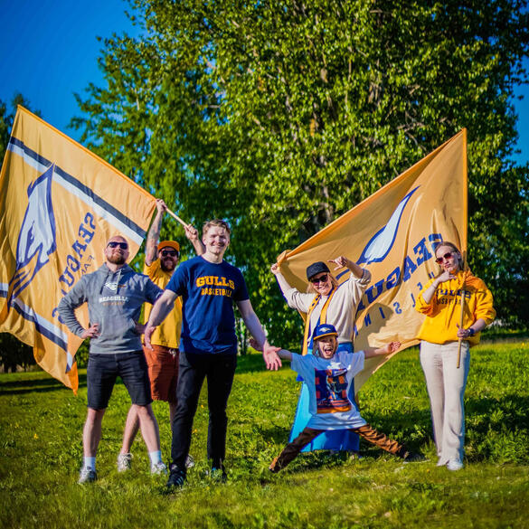 Helsinki Seagulls / Hype is back